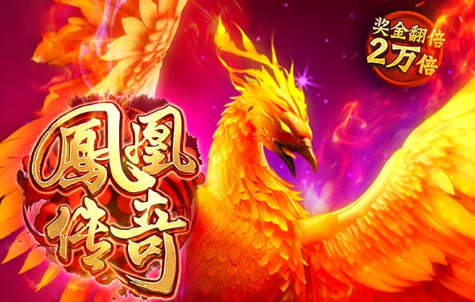 中欧体育登录网页